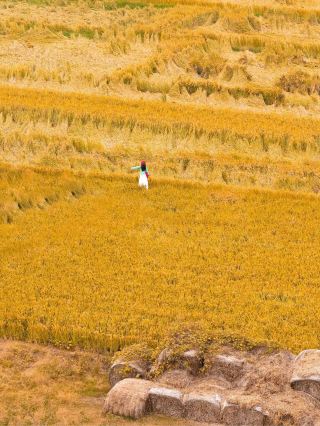 회북의 잠재력이 대단해 친구들 사이에서 극찬받는 정말 재미있는 2일 여행