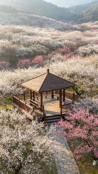 봄날 꽃밭 인증샷 명소
