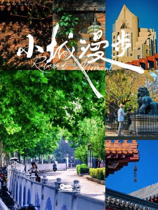 闖入泰安盛夏｜滿目綠意皆是清歡