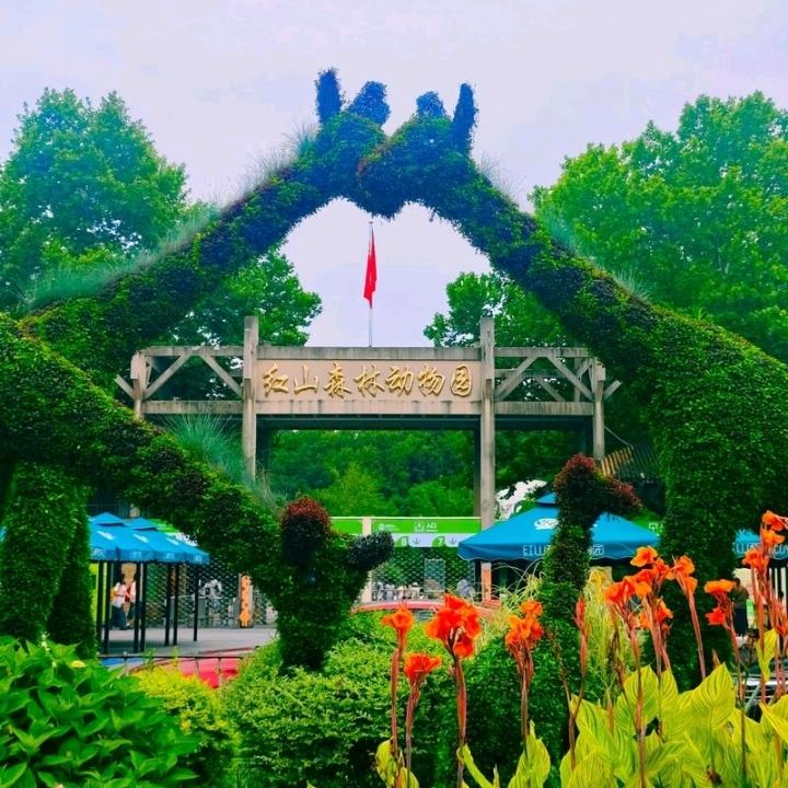 Planning a family trip to Nanjing? It can actually be super chill