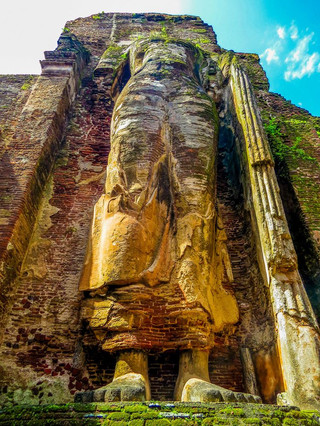 Your Ultimate 9-Day Sri Lanka Guide is Here! Let's Go!