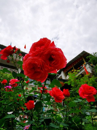 Must-visit Xisuo Village in Maerkang to experience Tibetan and Qiang culture