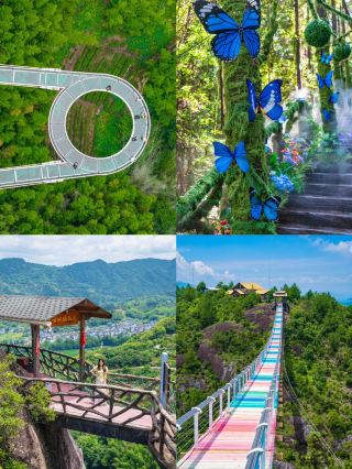 A lush, magical forest in southern Zhejiang! Shuangtong Mountain, a summer retreat