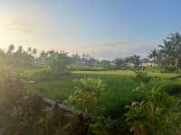 Positive Stay with Peaceful Relaxation