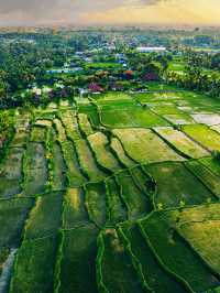 This is the consequence of flying a drone recklessly in Indonesia