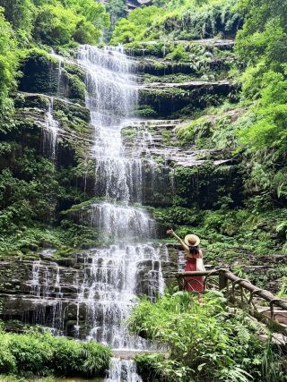 2 hours direct from Chengdu! Turns out, Bifengxia is the real hidden gem of Sichuan!