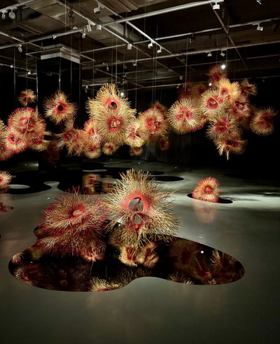 深圳の新しい展覧会｜現代アートの美学で楽しむ無形文化遺産の竹編み