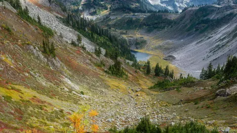 ベーカー山（Mt Baker）紅葉ハイキング完全ガイド|今行けば、ベーカー山は山全体が色鮮やかに染まっています 紅 — traveler post in シアトル