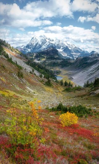 Mt. Baker Autumn Hiking Guide | The whole mountain is already ablaze with color. Red 