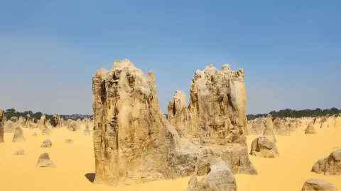 짧은 휴가로 떠나는 호주 7일 여행, 행복감 폭발 — traveler post in 얄링업