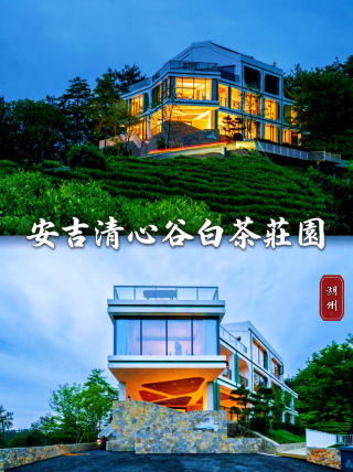 睡進安吉萬畝茶海