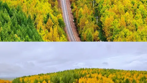 Autumn sightseeing at Mohe's Nine Bends and Eighteen Turns — traveler post in Mohe