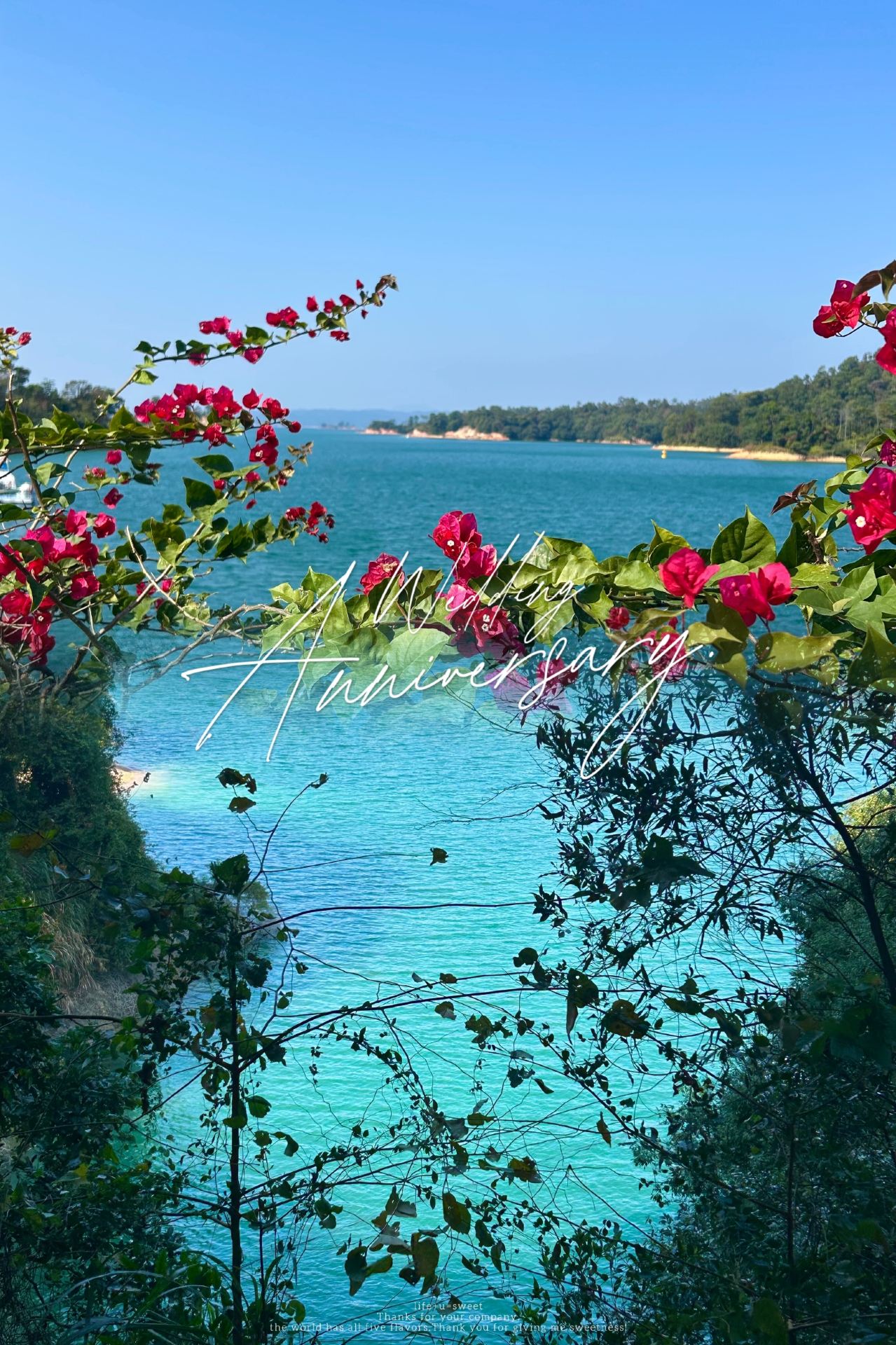 万緑湖鏡花縁 - ズボラ旅必見
