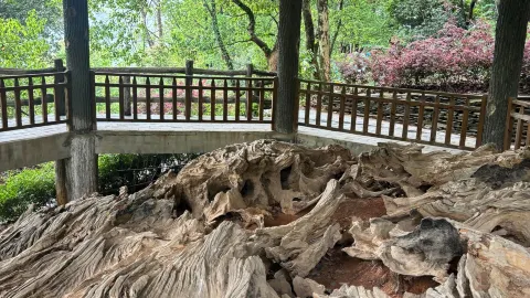 황석 상풍 고촌｜'구고기촌'에 들어서면, 모든 발걸음이 수백 년을 밟는다 — traveler post in 다예
