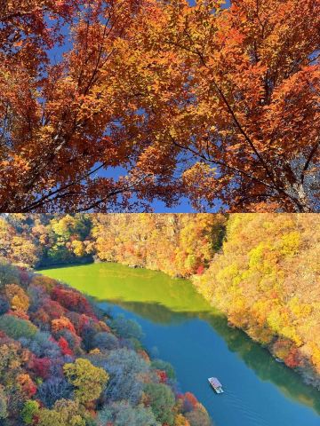 紅葉狩りといえば本渓で人混みに揉まれるしかないなんて誰が言ったの？！