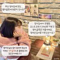 수영 망미골목 원데이 데이트코스