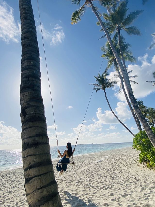 몰디브 현지인들도 인정한 아름다운 리조트🌴💙