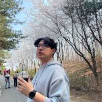 봄꽃 가득한 물향기 수목원🌿