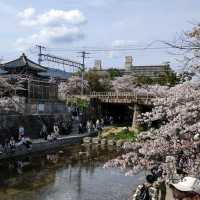 【電車と桜がみえる公園】阪急夙川駅すぐ！