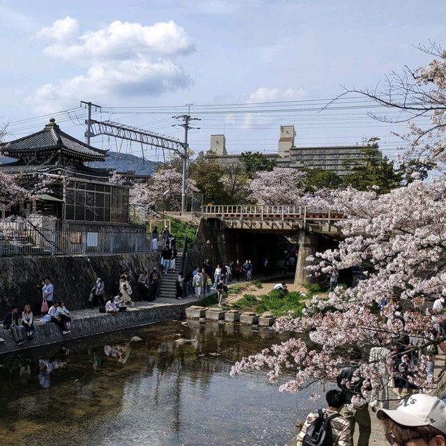 【電車と桜がみえる公園】阪急夙川駅すぐ！