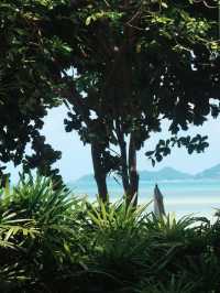 Casa Del Mar Hotel, Koh Samui✈️🇹🇭🌴