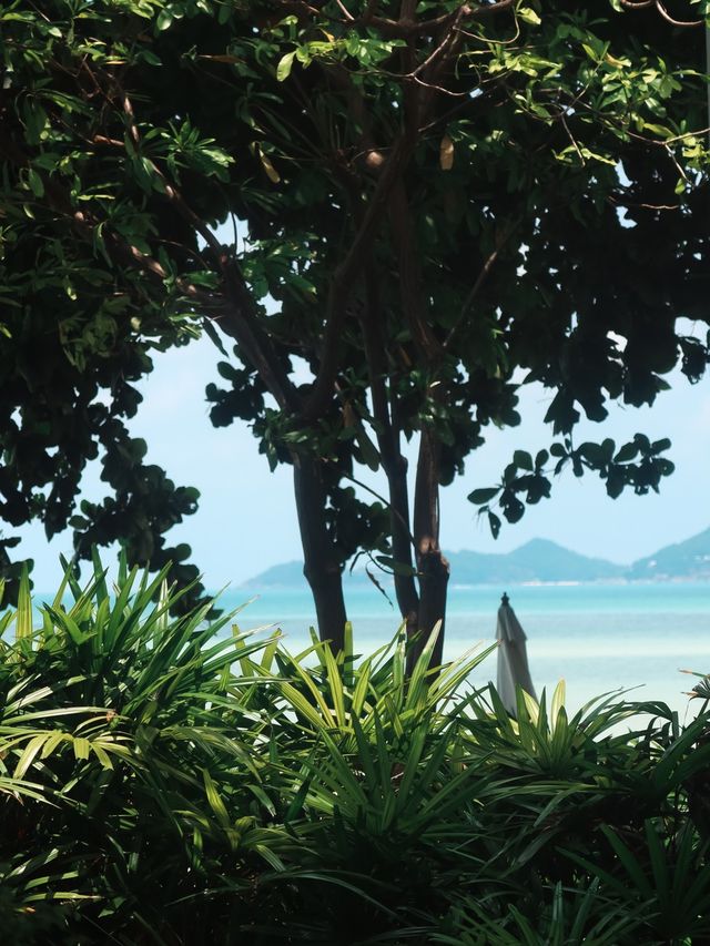 Casa Del Mar Hotel, Koh Samui✈️🇹🇭🌴