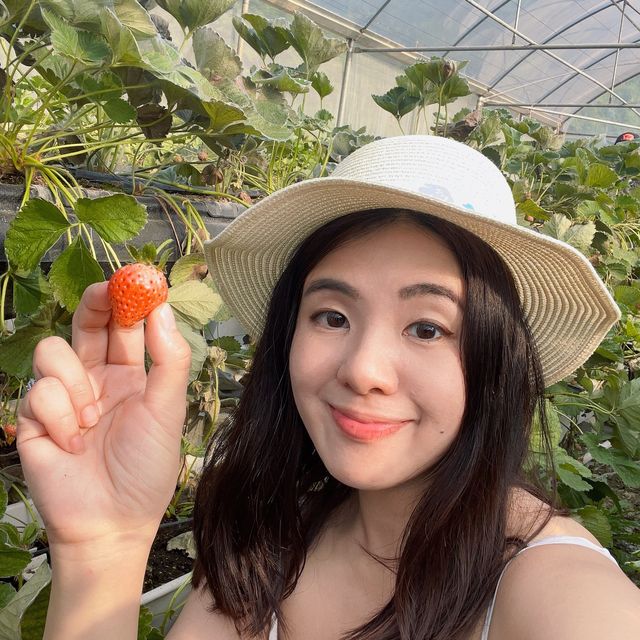 第一次黎到小蜜蜂之家🐝近距離接觸佢地！🐝