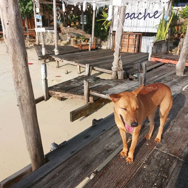 เกาะเสม็ด เด็ดทุกหาด