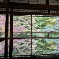 【インスタ映え】京都　瑠璃光院