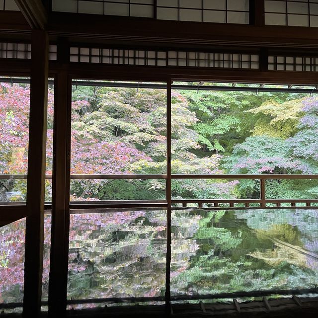【インスタ映え】京都　瑠璃光院