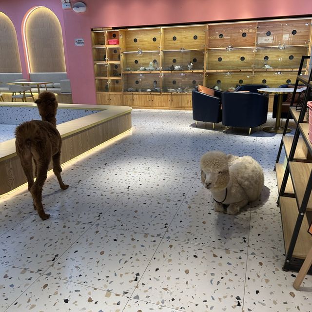 廣州融創堇山酒店初體驗