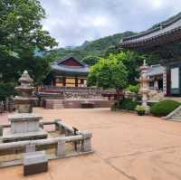 신록에계절 계룡산 동학사에 포행이다.