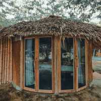 บ้านปายดิน ออร์แกนิค ฟาร์มสเตย์ 