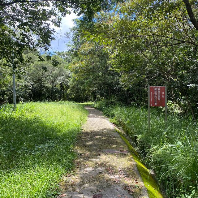 ✨觀音聖像✨