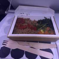【フィンランド上空】飛行機からのオーロラ