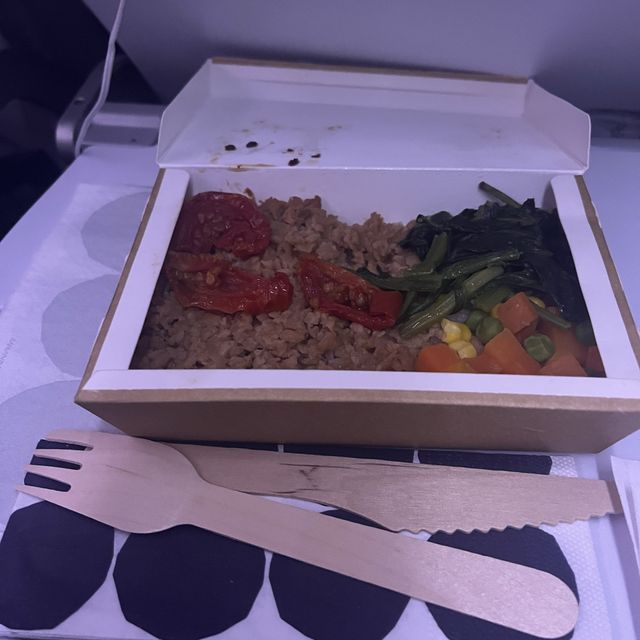 【フィンランド上空】飛行機からのオーロラ