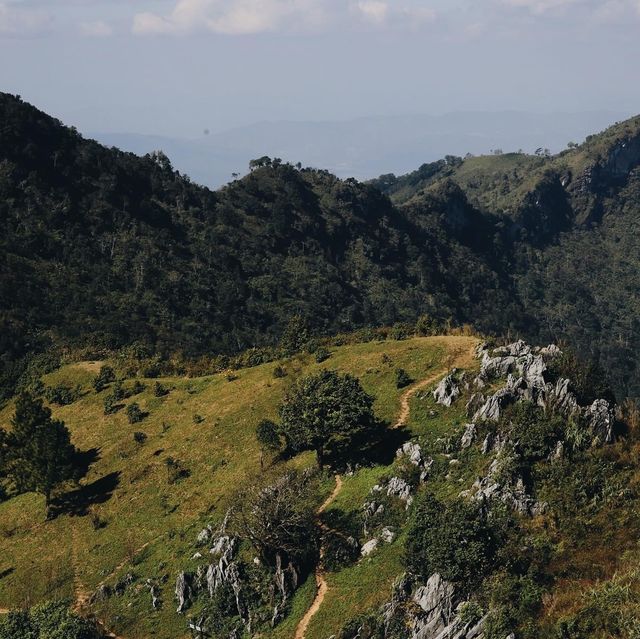 ดอยผาตั้ง อ.เวียงแก่น จ.เชียงราย⛰️