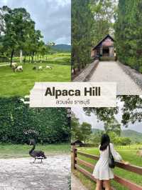 สวนผึ้งหน้าฝน ราชบุรี | 2 วัน 1 คืน 🌳⛺️