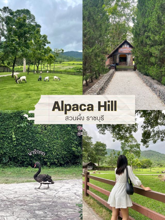 สวนผึ้งหน้าฝน ราชบุรี | 2 วัน 1 คืน 🌳⛺️