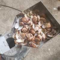 可愛い彼女とラブラブ旅行