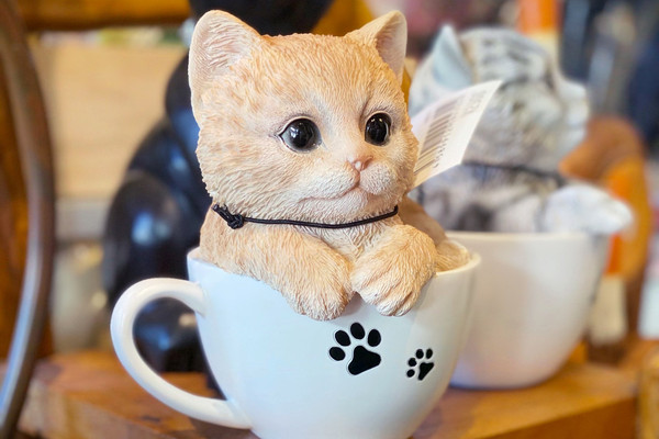 嵐山観光】ねこがモチーフの可愛い雑貨屋さん🐈 | Trip.com 京都