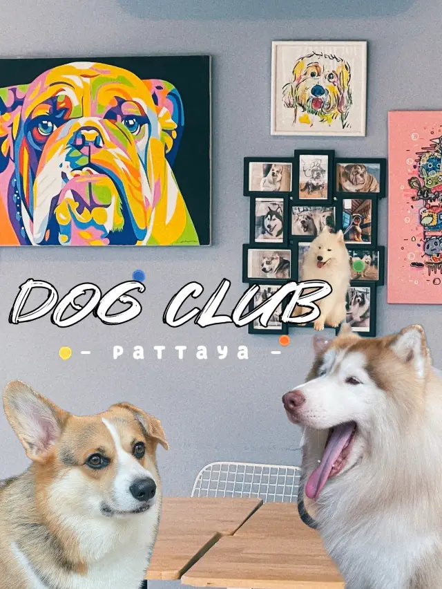 DOG CLUB คาเฟ่น้องหมาสุดไนซ์ที่พัทยา 🐶