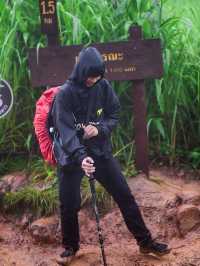 อุทยานแห่งชาติภูสอยดาว | Phu soi dao National Park