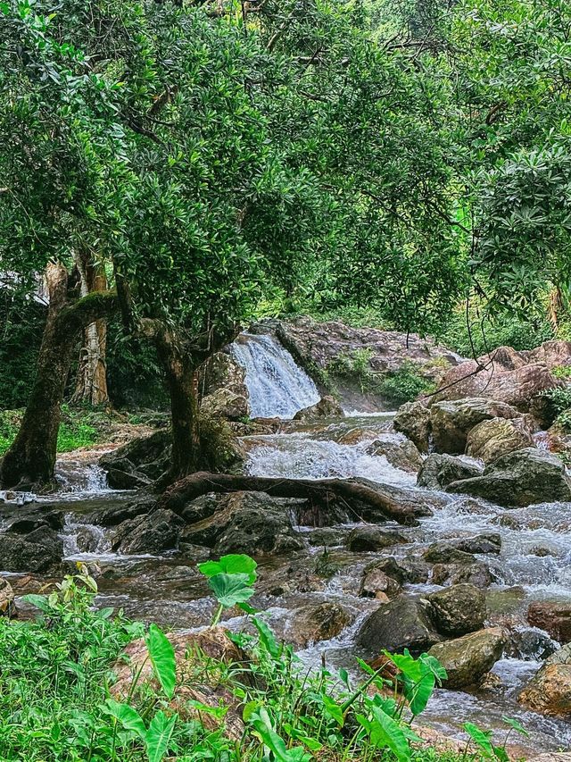 📸 รีวิว : ที่เที่ยวสวยๆ น้ำตกสาริกา