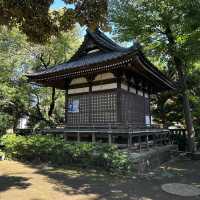 📍奥澤神社/東京