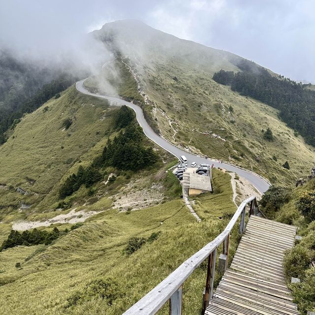 台灣 南投 合歡山森林公園 