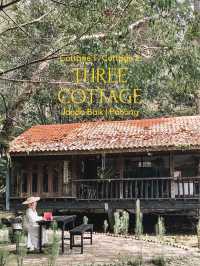 Lush Greenery Therapy @Three Cottage 🌳