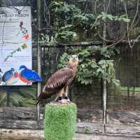 Visit the animals at Avilon Zoo