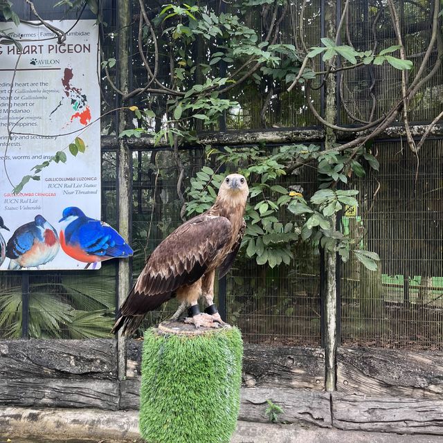Visit the animals at Avilon Zoo