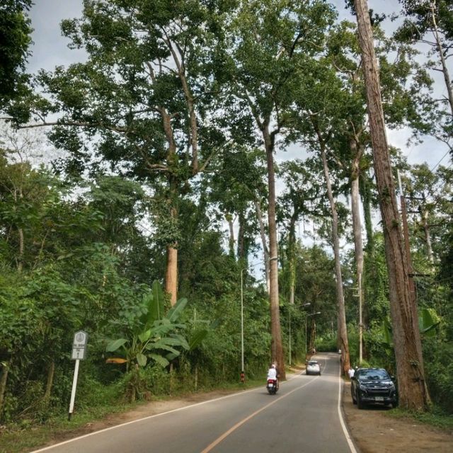 Chiang Dao Chiang Mai Thailand 